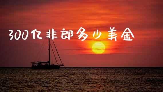 300亿非郎多少美金_https://m.kuaijiepai.net_货币基金_第1张