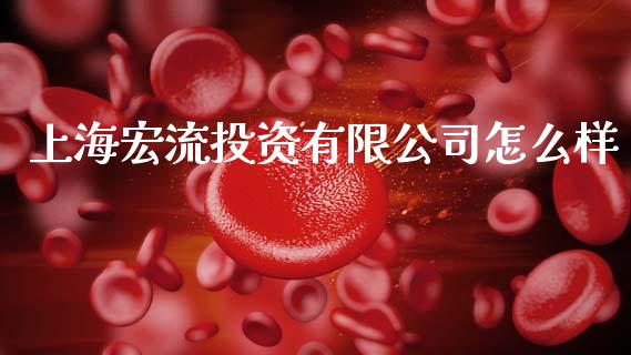 上海宏流投资有限公司怎么样_https://m.kuaijiepai.net_资产证券化_第1张