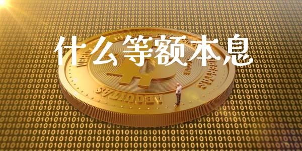 什么等额本息_https://m.kuaijiepai.net_货币基金_第1张