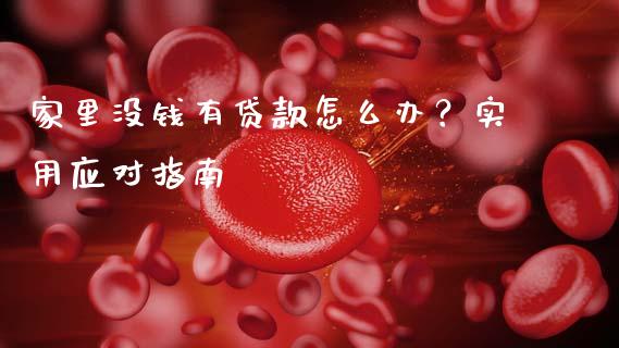 家里没钱有贷款怎么办?实用应对指南_资产证券化_第1张_货币基金_债券投资_股票交易_资产证券化 家里没钱有贷款怎么办?实用应对指南_https://m.kuaijiepai.net_资产证券化_第1张