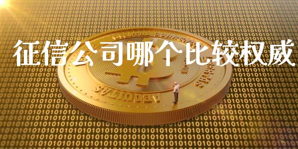 征信公司哪个比较权威_https://m.kuaijiepai.net_债券投资_第1张