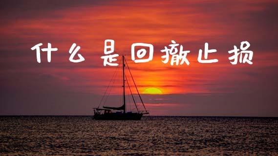什么是回撤止损_https://m.kuaijiepai.net_债券投资_第1张