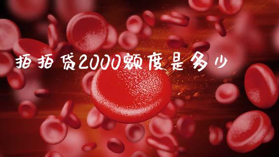 拍拍贷2000额度是多少_https://m.kuaijiepai.net_股票交易_第1张