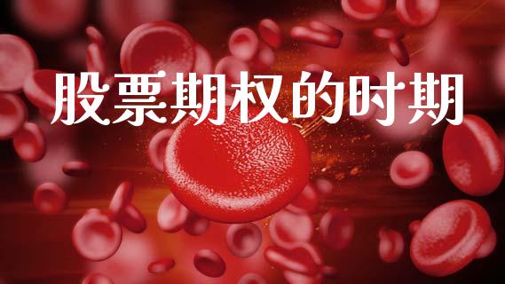 股票期权的时期_https://m.kuaijiepai.net_债券投资_第1张