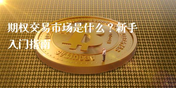 期权交易市场是什么？新手入门指南_https://m.kuaijiepai.net_资产证券化_第1张