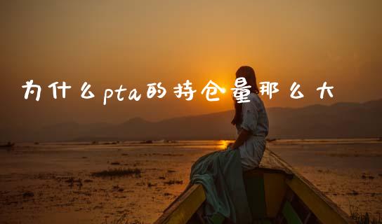 为什么pta的持仓量那么大_https://m.kuaijiepai.net_货币基金_第1张