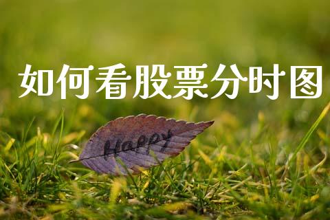 如何看股票分时图_https://m.kuaijiepai.net_资产证券化_第1张