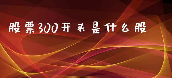 股票300开头是什么股_https://m.kuaijiepai.net_债券投资_第1张