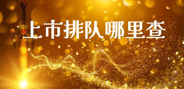 上市排队哪里查_https://m.kuaijiepai.net_股票交易_第1张