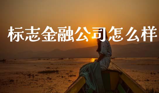 标志金融公司怎么样_https://m.kuaijiepai.net_股票交易_第1张