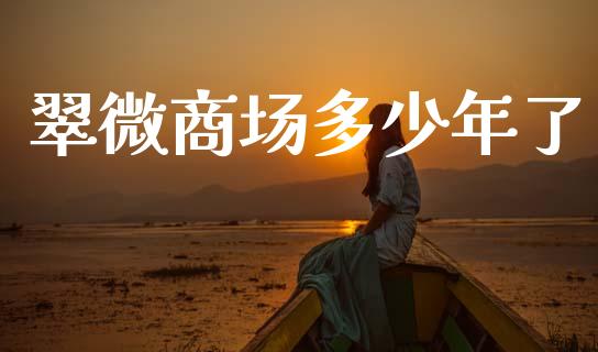 翠微商场多少年了_https://m.kuaijiepai.net_货币基金_第1张