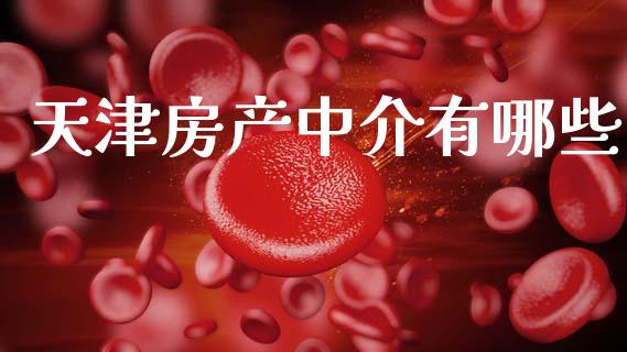 天津房产中介有哪些_https://m.kuaijiepai.net_货币基金_第1张