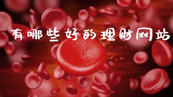 有哪些好的理财网站_https://m.kuaijiepai.net_货币基金_第1张