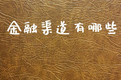 金融渠道有哪些_https://m.kuaijiepai.net_资产证券化_第1张