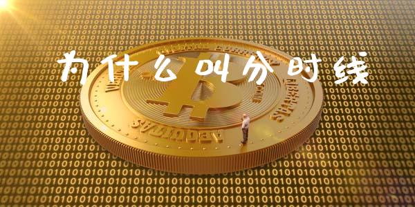 为什么叫分时线_https://m.kuaijiepai.net_股票交易_第1张