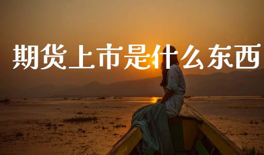 期货上市是什么东西_债券投资_第1张_货币基金_债券投资_股票交易_资产证券化 期货上市是什么东西_https://m.kuaijiepai.net_债券投资_第1张