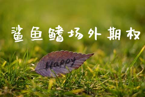 鲨鱼鳍场外期权_https://m.kuaijiepai.net_股票交易_第1张