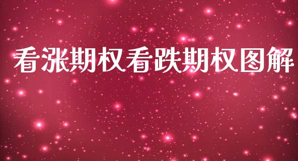 看涨期权看跌期权图解_https://m.kuaijiepai.net_货币基金_第1张