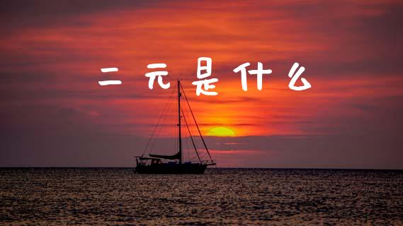 二元是什么_https://m.kuaijiepai.net_股票交易_第1张