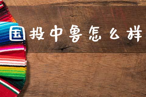 国投中鲁怎么样_https://m.kuaijiepai.net_债券投资_第1张