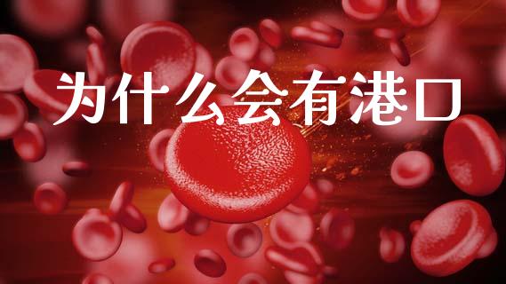为什么会有港口_https://m.kuaijiepai.net_股票交易_第1张