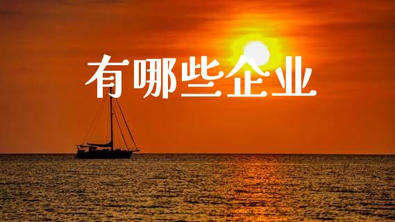 有哪些企业_https://m.kuaijiepai.net_债券投资_第1张