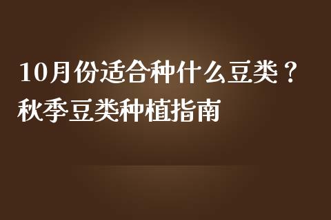 10月份适合种什么豆类？秋季豆类种植指南_https://m.kuaijiepai.net_货币基金_第1张