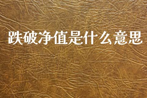 跌破净值是什么意思_https://m.kuaijiepai.net_债券投资_第1张