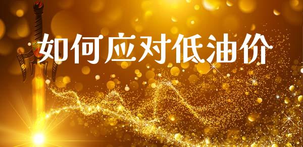 如何应对低油价_https://m.kuaijiepai.net_货币基金_第1张