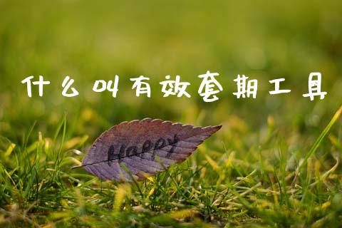 什么叫有效套期工具_资产证券化_第1张_货币基金_债券投资_股票交易_资产证券化 什么叫有效套期工具_https://m.kuaijiepai.net_资产证券化_第1张