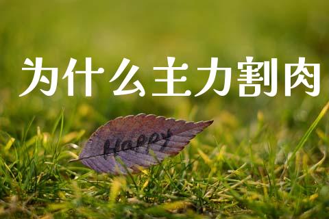 为什么主力割肉_https://m.kuaijiepai.net_资产证券化_第1张