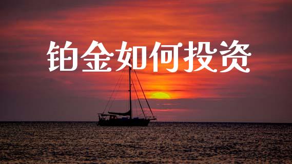 铂金如何投资_https://m.kuaijiepai.net_债券投资_第1张