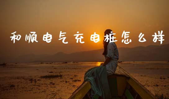 和顺电气充电桩怎么样_https://m.kuaijiepai.net_债券投资_第1张