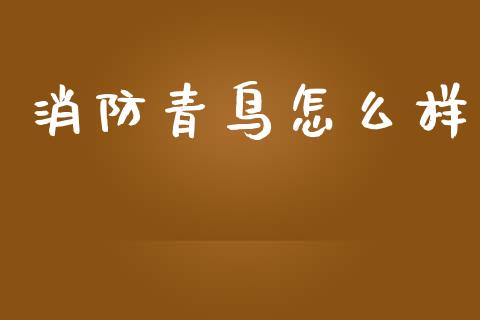 消防青鸟怎么样_https://m.kuaijiepai.net_货币基金_第1张