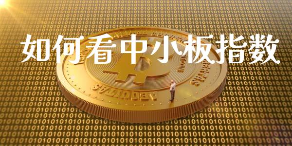 如何看中小板指数_https://m.kuaijiepai.net_股票交易_第1张