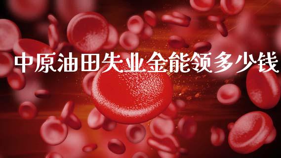 中原油田失业金能领多少钱_https://m.kuaijiepai.net_股票交易_第1张