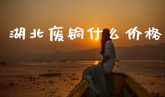 湖北废铜什么价格_https://m.kuaijiepai.net_资产证券化_第1张