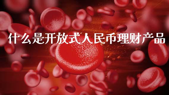 什么是开放式人民币理财产品_https://m.kuaijiepai.net_股票交易_第1张