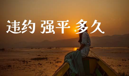 违约 强平 多久_https://m.kuaijiepai.net_股票交易_第1张