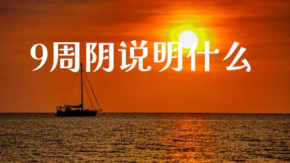 9周阴说明什么_https://m.kuaijiepai.net_资产证券化_第1张