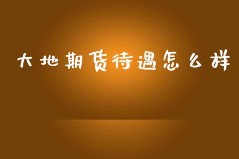 大地期货待遇怎么样_https://m.kuaijiepai.net_货币基金_第1张