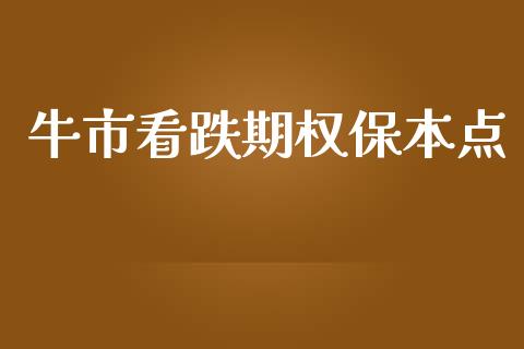 牛市看跌期权保本点_https://m.kuaijiepai.net_债券投资_第1张