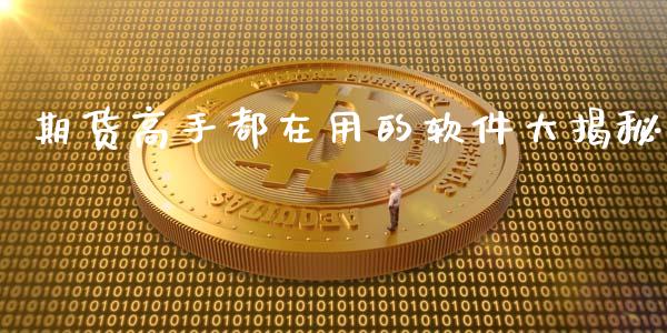 期货高手都在用的软件大揭秘_https://m.kuaijiepai.net_债券投资_第1张
