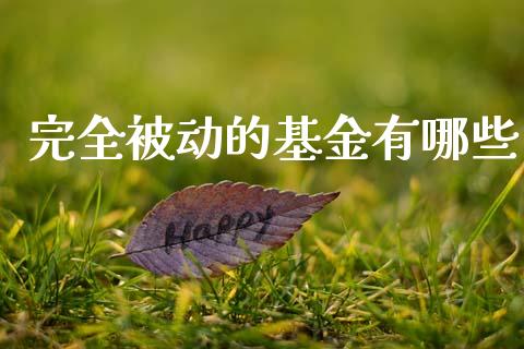 完全被动的基金有哪些_https://m.kuaijiepai.net_债券投资_第1张