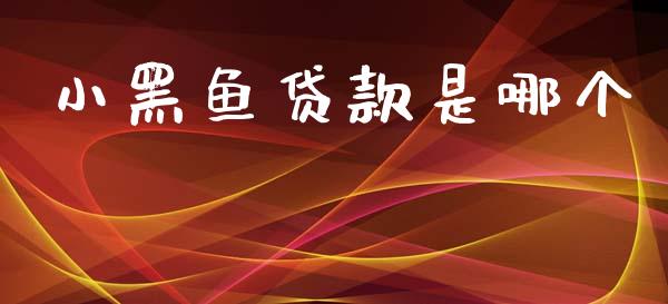 小黑鱼贷款是哪个_https://m.kuaijiepai.net_资产证券化_第1张