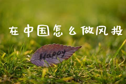 在中国怎么做风投_https://m.kuaijiepai.net_资产证券化_第1张