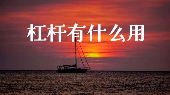 杠杆有什么用_https://m.kuaijiepai.net_货币基金_第1张