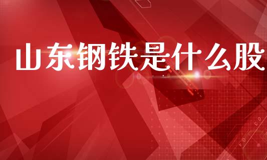 山东钢铁是什么股_https://m.kuaijiepai.net_货币基金_第1张