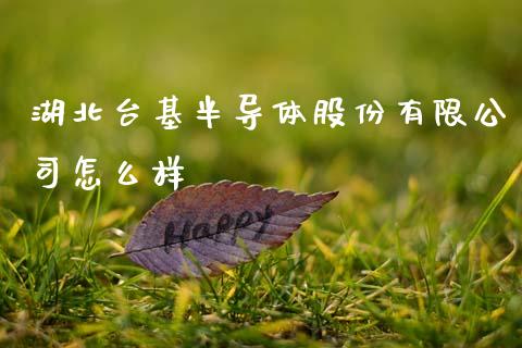 湖北台基半导体股份有限公司怎么样_https://m.kuaijiepai.net_资产证券化_第1张