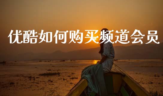 优酷如何购买频道会员_https://m.kuaijiepai.net_资产证券化_第1张